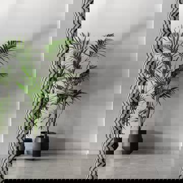 Minimalist lobby corner with two potted green plants and a wavy-patterned column